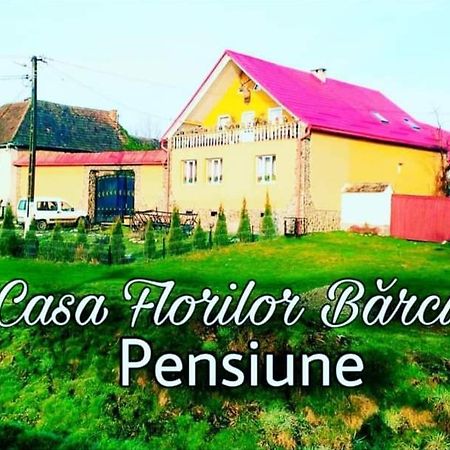 Apartamento Casa Florilor Barcut Exterior foto