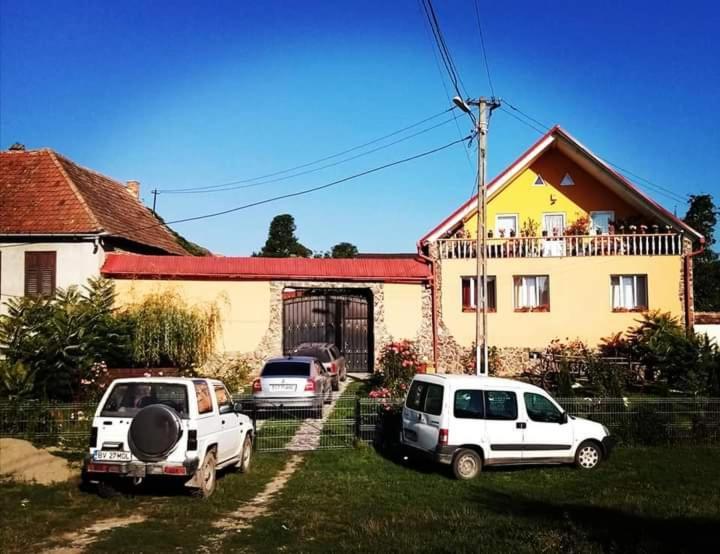 Apartamento Casa Florilor Barcut Exterior foto