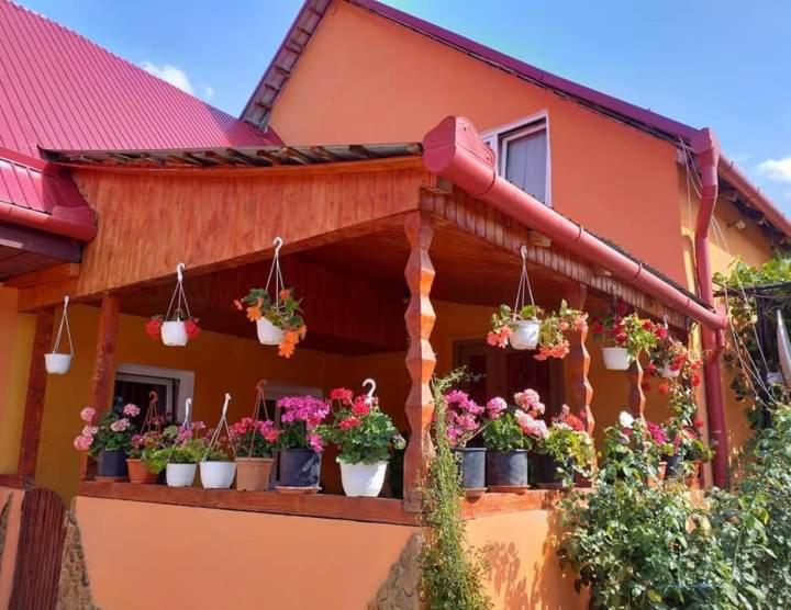 Apartamento Casa Florilor Barcut Exterior foto