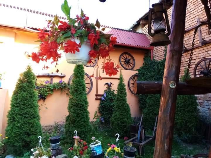 Apartamento Casa Florilor Barcut Exterior foto