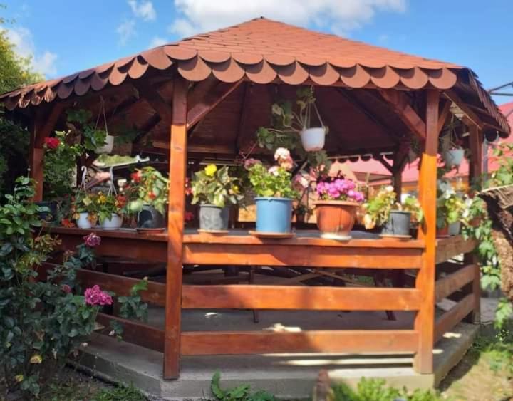 Apartamento Casa Florilor Barcut Exterior foto
