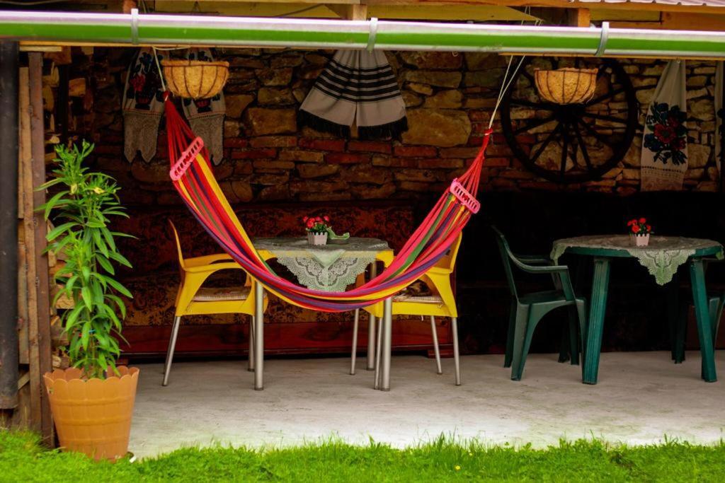 Apartamento Casa Florilor Barcut Exterior foto