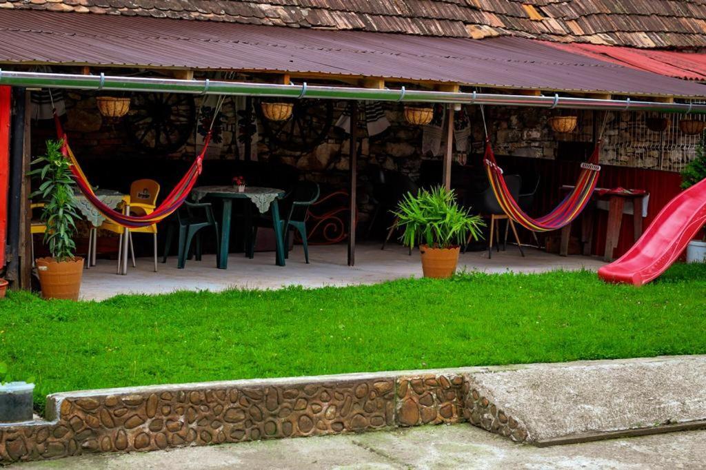 Apartamento Casa Florilor Barcut Exterior foto