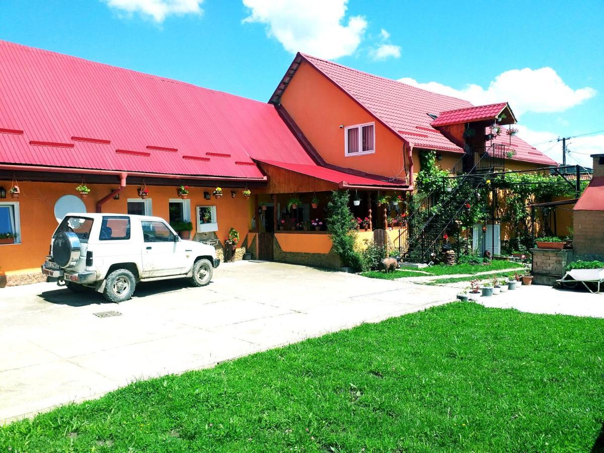 Apartamento Casa Florilor Barcut Exterior foto