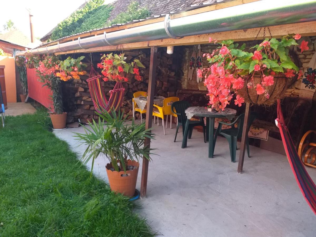 Apartamento Casa Florilor Barcut Exterior foto