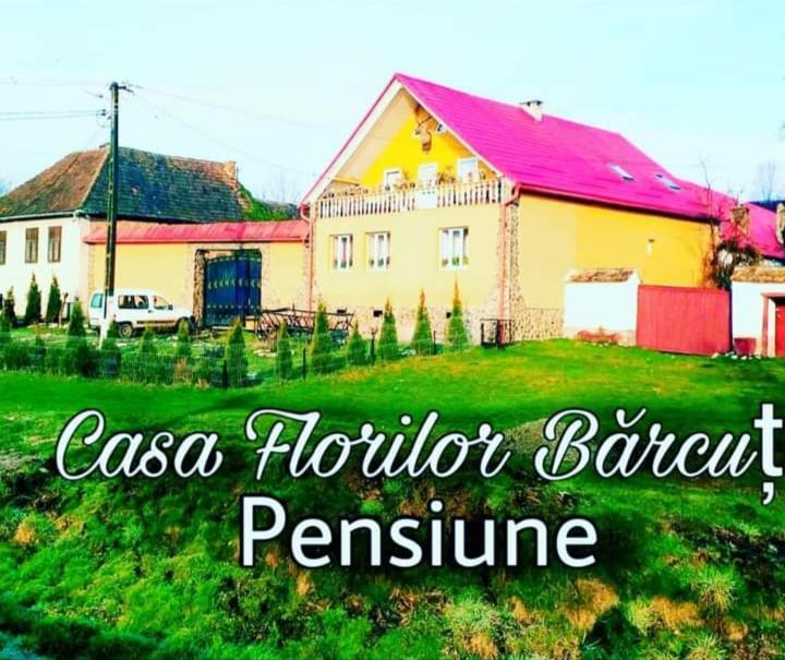 Apartamento Casa Florilor Barcut Exterior foto