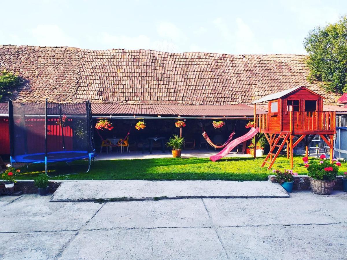 Apartamento Casa Florilor Barcut Exterior foto