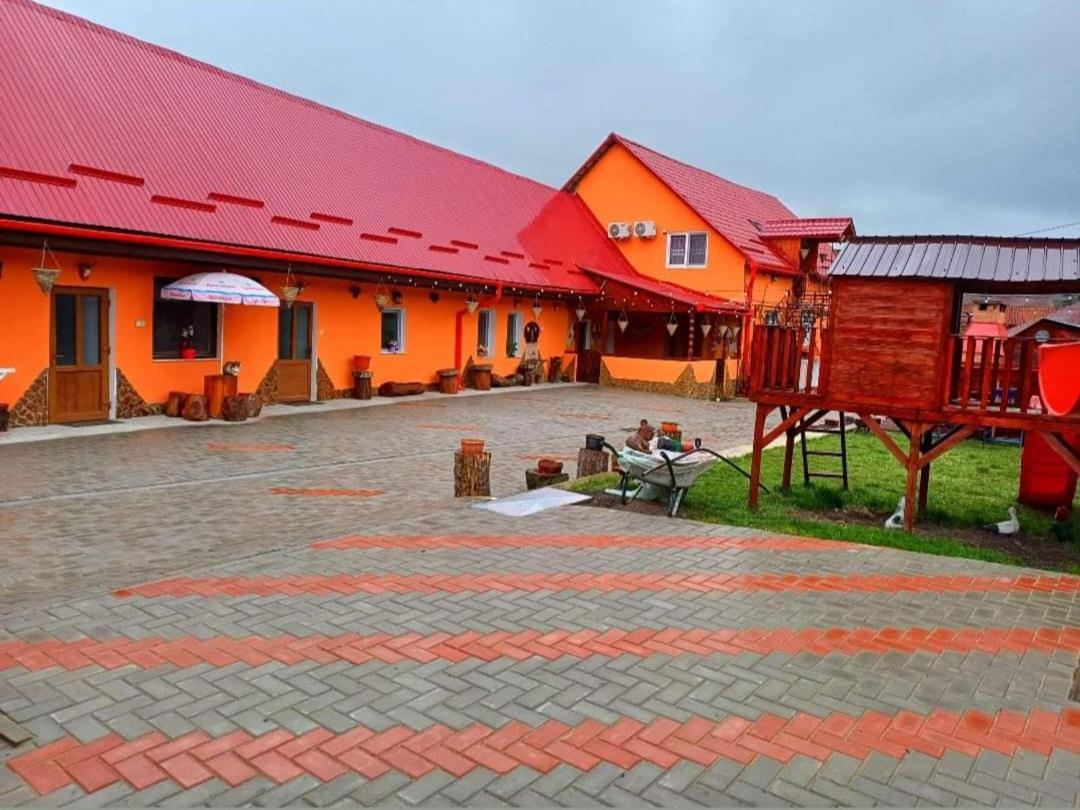 Apartamento Casa Florilor Barcut Exterior foto